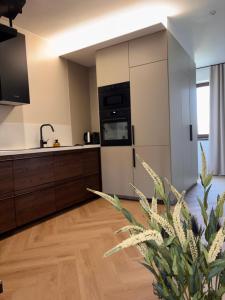 a kitchen with white cabinets and a black appliance at Apartmán Thea in Komárno +5 photos