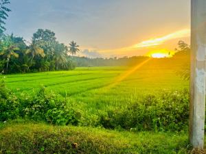 a field of green grass with a sunset in the background at Double T in Dickwella