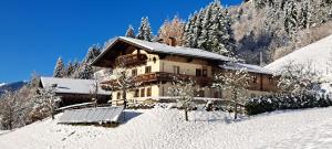 a house on a snow covered hill with trees at Apartment Wegmo in Bischofshofen