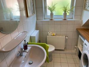 a bathroom with a sink and a toilet and a mirror at Deep Blue Dümmer - Apartment in Lembruch +16 photos