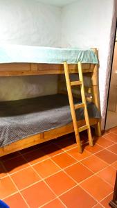 a wooden bunk bed with a ladder on the floor at Entre Pajaros y Flores in Rivera