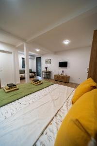 a bedroom with a large bed and a tv at Wine House Churilo in Ohrid