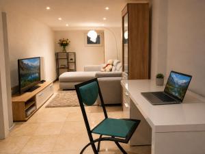 a living room with a laptop on a desk in a room at Nest am Rhein in Öhningen