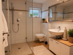 a bathroom with a toilet and a sink and a shower at Nest am Rhein in Öhningen