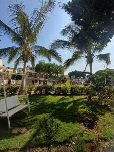 a hammock in a yard with two palm trees at Hospedaje Cocos House Talara - amplias habitaciones, Buena Ubicacion in Talara