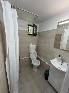 a bathroom with a toilet and a sink at Cabanele din livadă in Corbi