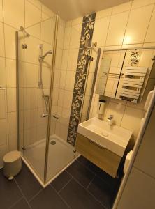 a bathroom with a shower and a sink and a toilet at Ferienwohnung Grüne Oase in Lübbenau +19 photos