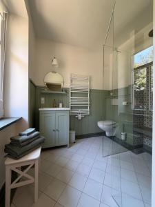 a bathroom with a shower and a toilet and a sink at Misses Greenday in Bad Suderode +20 photos