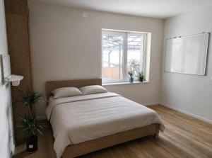 a bedroom with a bed and a window at Sleeping house in Cluj-Napoca