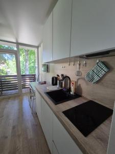a kitchen with a sink and a counter top at Sunrise Apartments 9 in Juodkrantė