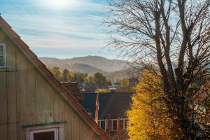 a view from the roof of a house at Bergpanorama in Sankt Andreasberg