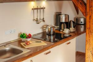 a kitchen with a sink and a counter top at Bergpanorama in Sankt Andreasberg +14 photos