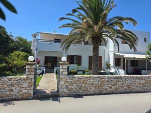 a house with a palm tree and a stone wall at Irini studios in Skiros