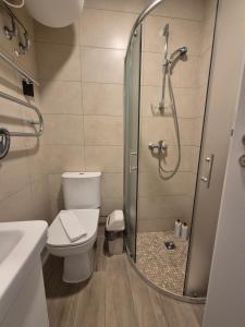a bathroom with a toilet and a shower at Sunrise Apartments 9 in Juodkrantė +4 photos