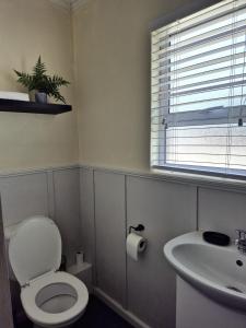 a bathroom with a toilet and a sink at Fortune Cottage in Cape Town +6 photos