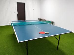 a ping pong table with a ping paddle on it at Great Mountain B&B Platak in Platak