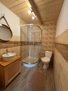 a bathroom with a shower and a toilet and a sink at Pokoje goscinne u Jozka in Chochołów