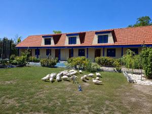 a herd of sheep in front of a house at Casa KariAna in Murighiol
