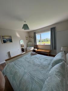 a bedroom with a bed and a desk and a window at Meadow View Cottage in Clooncullin Bridge