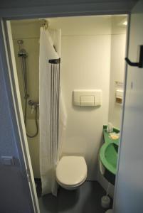 a small bathroom with a toilet and a shower at Le Relais de la Forge in Selonnet +69 photos
