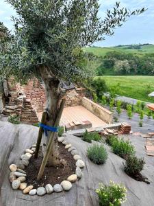 a tree in a garden with rocks around it at Independent charming studio in Gibel
