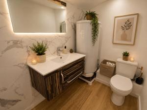 a bathroom with a sink and a toilet and a mirror at Elégant Duplex in Béziers