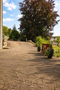 a gravel road with a tree on top of it at Wellness queen in Harzé