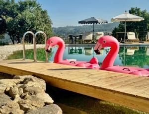 two pink swans on a dock next to a pool at Tiny Escape in São Miguel do Mato