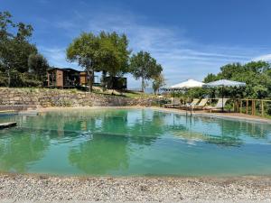 a swimming pool with green water in front of a house at Tiny Escape in São Miguel do Mato
