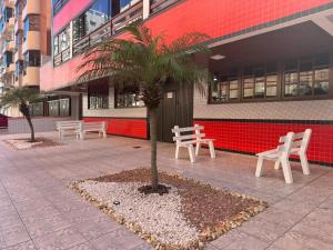 a palm tree in front of a building with benches at Apartamento em Capão da Canoa com Ar-condicionado in Capão da Canoa