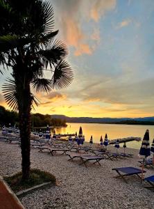 a group of chairs and a palm tree on a beach at Al Giardino Toscano in Montecarelli
