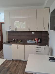 a kitchen with white cabinets and a white counter top at Apartment Nikola R in Žabljak