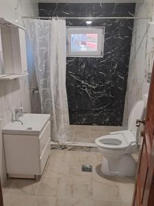 a bathroom with a white toilet and a sink at Apartment Nikola R in Žabljak