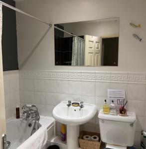 a bathroom with a sink and a toilet and a mirror at Eastbourne in Pevensey