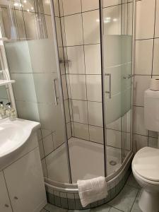 a bathroom with a shower and a toilet and a sink at Gasthaus Mossauer in Feistritz bei Knittelfeld