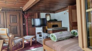 a living room with a couch and a television at bed and breakfast Liechti in Wattenwil