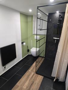 a bathroom with a toilet and a glass shower at Ferienwohnung beim Belchen in Wieden