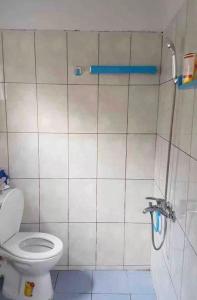 a bathroom with a toilet and a shower at Studio Cosy Mde Comores 