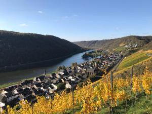 a village on a hill next to a river at Ferienwohnung Bahnhof Ehr in Halsenbach +12 photos