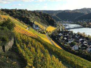 a village on a hill with vineyards and a river at Ferienwohnung Bahnhof Ehr in Halsenbach