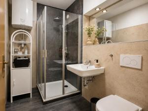 a bathroom with a shower and a sink and a toilet at Kurpark Suite in Bad Rodach +6 photos