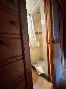 a bathroom with a shower and a glass door at Gościniec Saba in Zieleniec