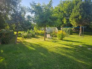 a yard with a chair and a swing at Noclegi w Dolinie Baryczy in Radziądz