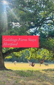 a sign that reads godlins farm stays herford at Farmstay cabin firepit & activities in Hertford