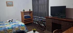 a living room with a television and a fireplace at Kuils River Apartment, near Cape Town Airport in Sarepta
