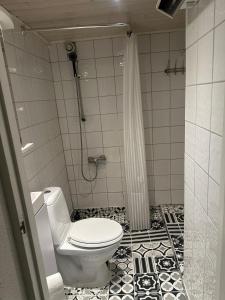 a bathroom with a toilet and a shower at Fantastic Apartment Tromsø Two in Tromsø