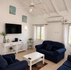 a living room with two blue couches and a tv at Willis staycation in Sandy Bay +2 photos