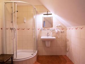 a bathroom with a shower and a sink and a tub at Willa Wiluszówka in Dębica