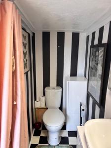a bathroom with a toilet and a black and white striped wall at Farmstay cabin firepit & activities in Hertford