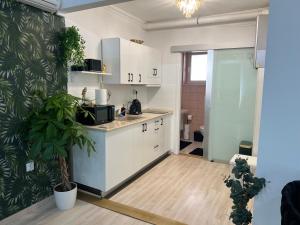 a kitchen with white cabinets and a potted plant at Picúr és Manó Apartmanjai- Picúr Apartman és Manó Apartman in Baja